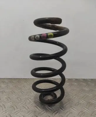 Audi A6 S6 C6 4F Rear coil spring