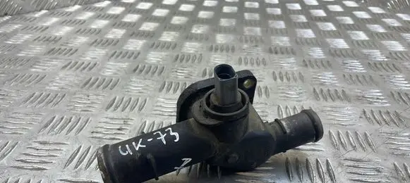 Thermostat/thermostat housing