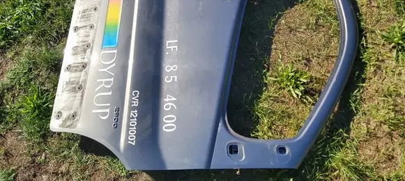 Renault Trafic II (X83) Front door