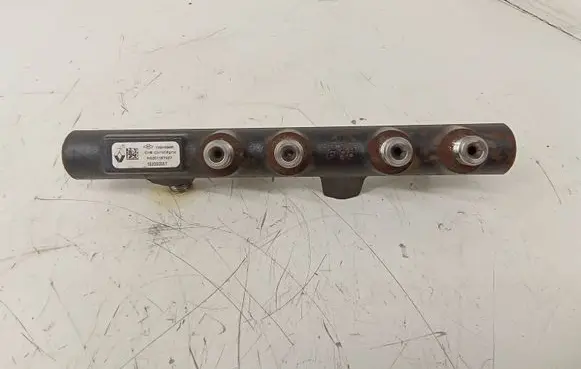 Dacia Dokker Fuel main line pipe 175215346R