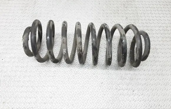 Seat Leon (1M) Rear coil spring