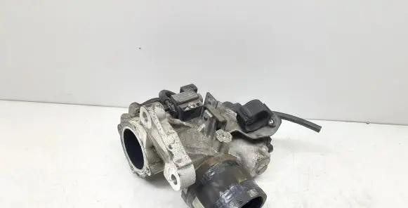 EGR valve