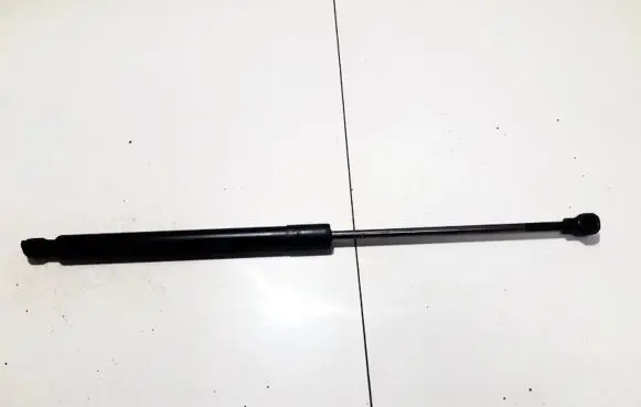 Dacia Sandero Tailgate/trunk strut/damper 904529943R