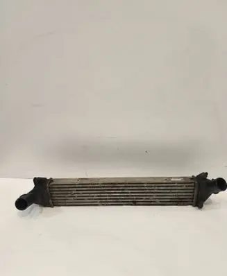 Dacia Sandero Intercooler radiator 8200409045 D11959N28019C90