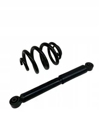 Volkswagen Transporter - Caravelle T5 Rear shock absorber with coil spring 7LA513029A 7E0513029D