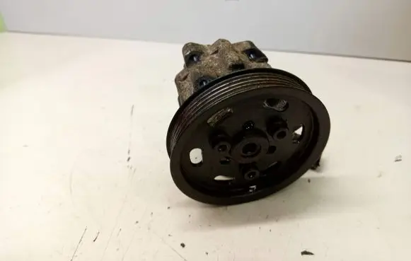 Volkswagen PASSAT B5.5 Power steering pump