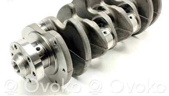 Volkswagen Transporter - Caravelle T6 Crankshaft BRS