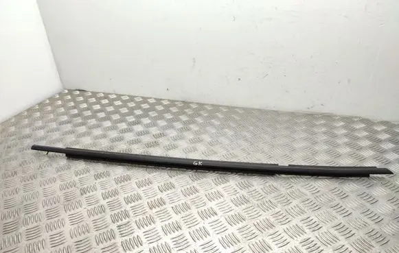 Toyota RAV 4 (XA50) Rear door glass trim molding 02860109