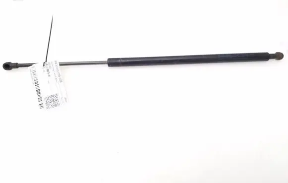 BMW X5 E53 Tailgate strut 8402405