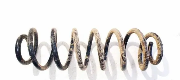 Volkswagen PASSAT B6 Rear coil spring
