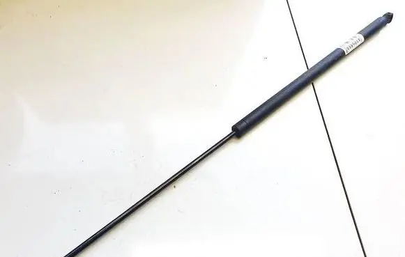 Tailgate/trunk strut/damper