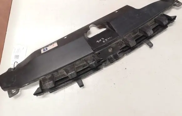 Peugeot 307 Radiator trim 9635719477