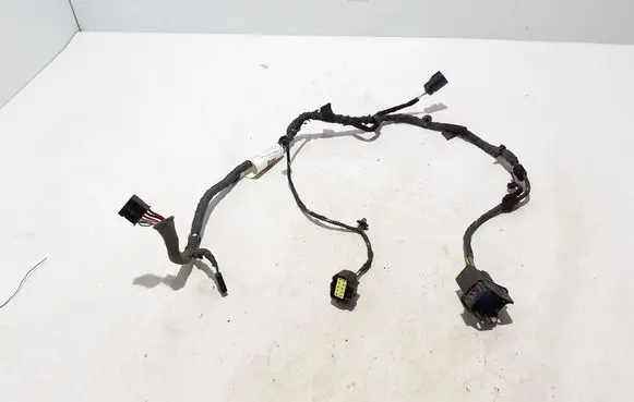 Other wiring loom