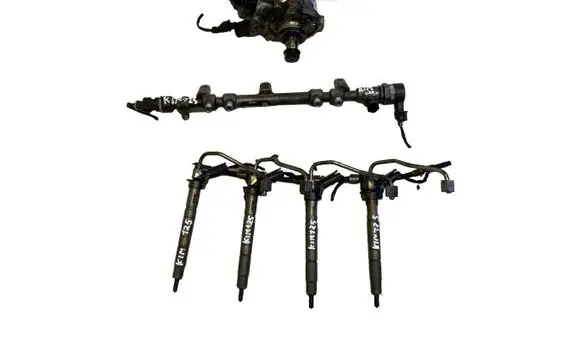 Hyundai Santa Fe Fuel injection system set 331002F000 0445010511 314002F000