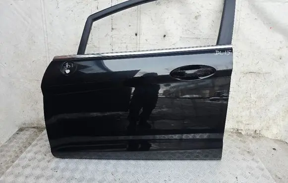 Ford Fiesta Front door