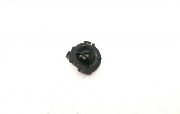 Front door high frequency speaker