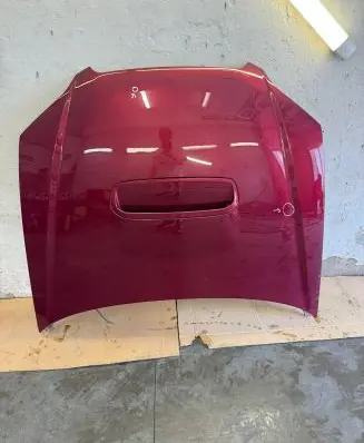 Engine bonnet/hood