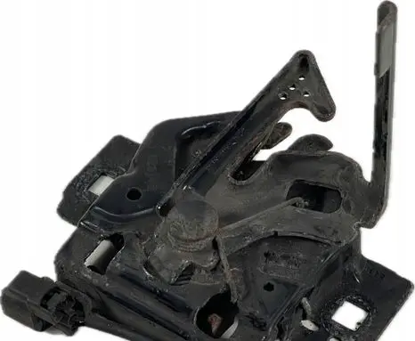 Ford F150 Engine bonnet/hood hinges 16700M0N6E