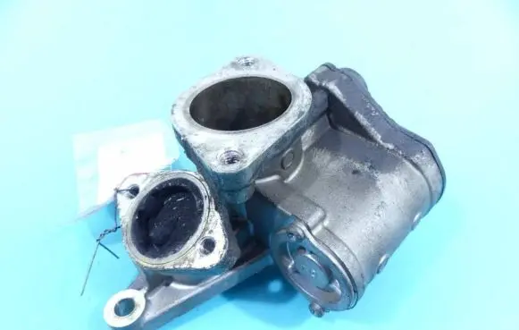 EGR valve