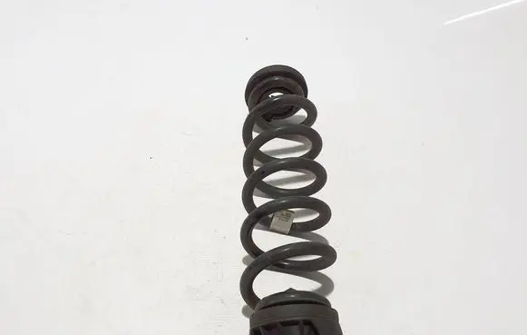Rear coil spring