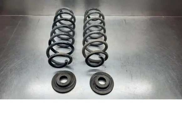 Volkswagen PASSAT B6 Rear coil spring