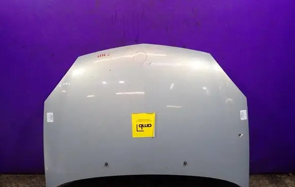 Renault Thalia I Engine bonnet/hood 