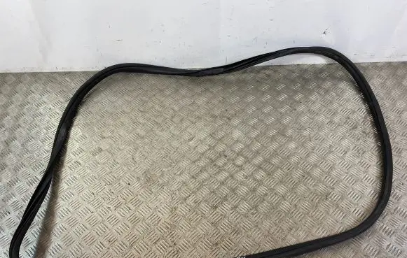 Dodge Durango Front door rubber seal