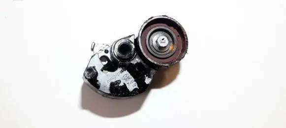 Hyundai Trajet Generator/alternator belt tensioner 2441027000