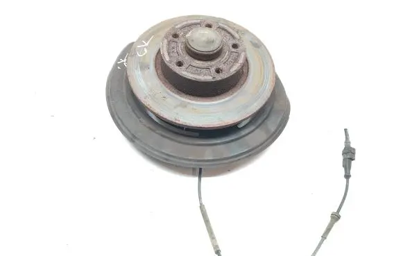 Rear wheel hub spindle/knuckle
