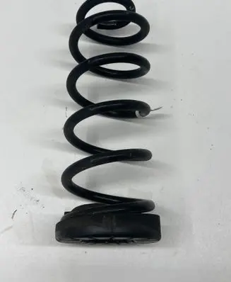 Rear coil spring