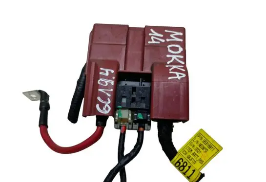 Positive wiring loom