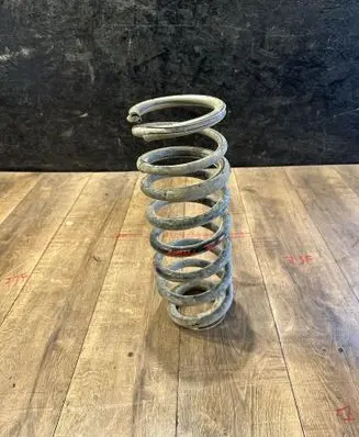 Rear coil spring