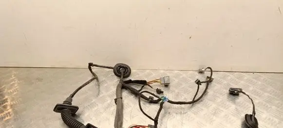 Volvo XC40 Front door wiring loom 32218845