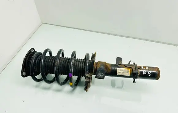 Ford Transit - Tourneo Connect Front shock absorber with coil spring DV6118K001AC E5634101