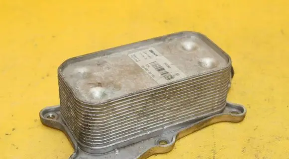 Mercedes-Benz E W211 Engine oil radiator 5989070191