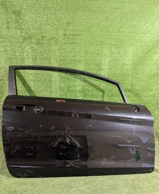 Ford Fiesta Front door
