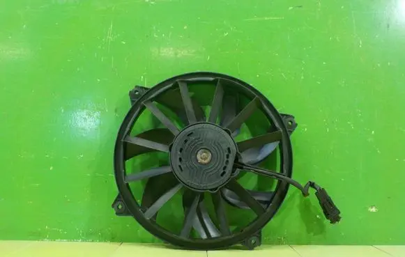 Peugeot RCZ Fan set 9661571480 17AB168