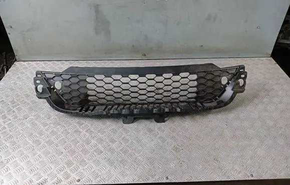 Front bumper lower grill