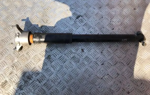 Mercedes-Benz A W176 Rear shock absorber/damper a2463202131 C1410221008 035128146307
