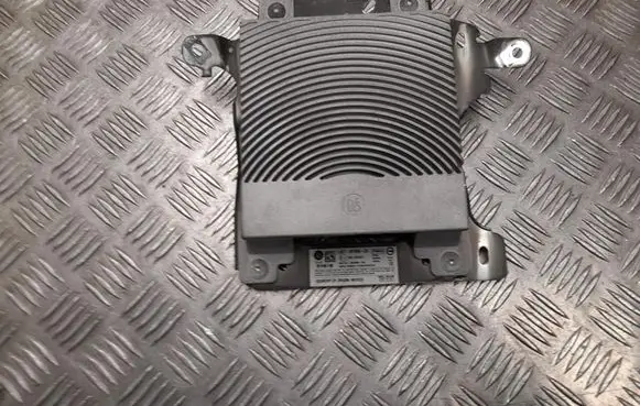Ford Kuga III Sound amplifier LJ6T18T806CB