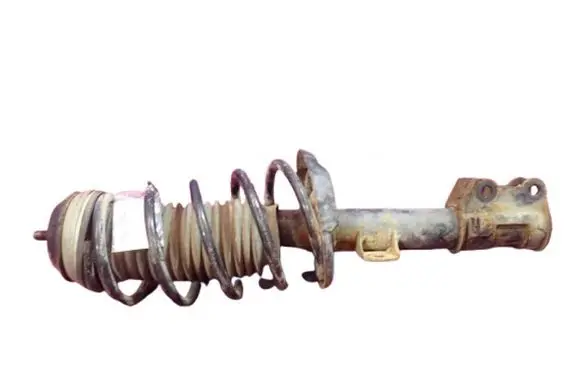 Fiat Punto (199) Front shock absorber with coil spring