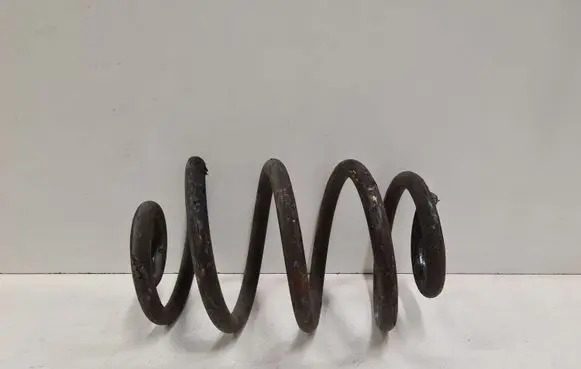 Rear coil spring
