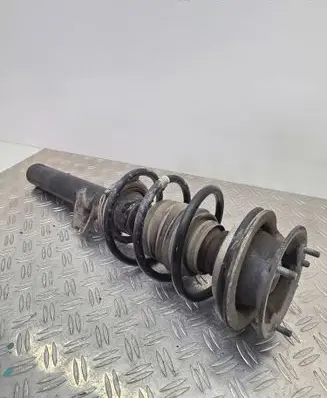 Front shock absorber/damper