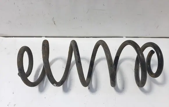Rear coil spring