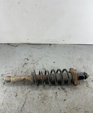 Dodge Journey Rear shock absorber with coil spring 