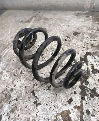 Volkswagen PASSAT B5.5 Rear coil spring 