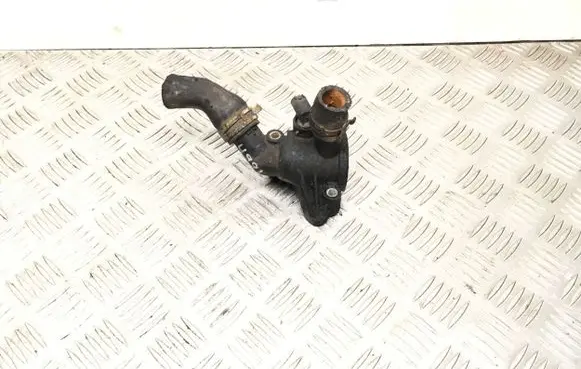 Thermostat/thermostat housing