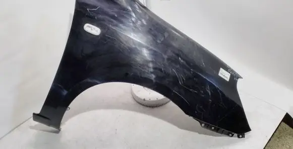 KIA Carens II Fender