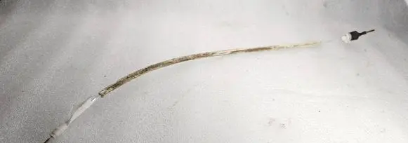 Front door cable line