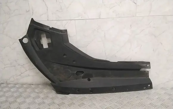 Engine bonnet/hood lock trim molding